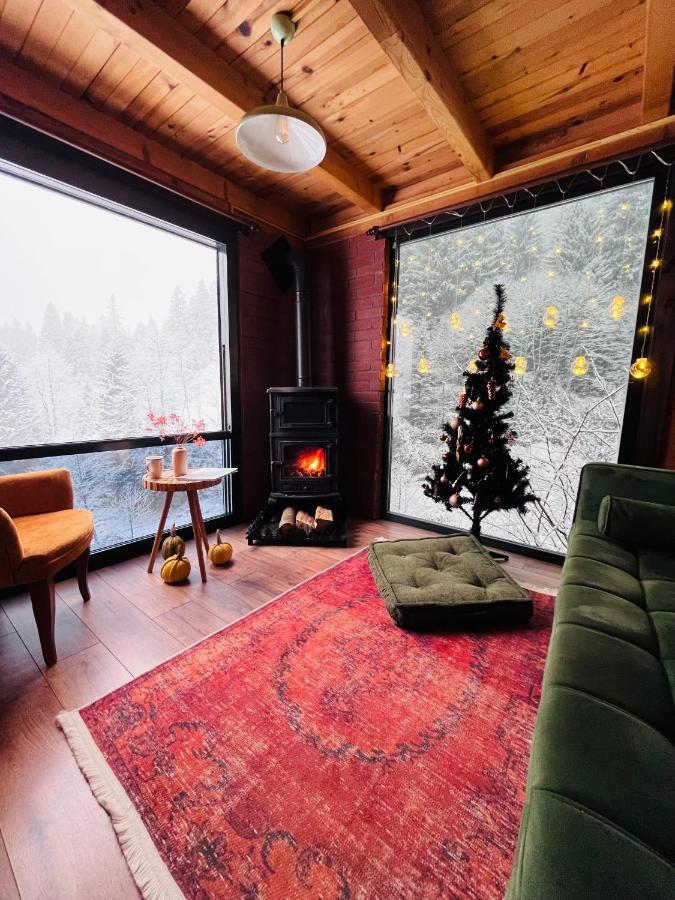 Vila Kukudi House Ayder Yaylasi Exteriér fotografie